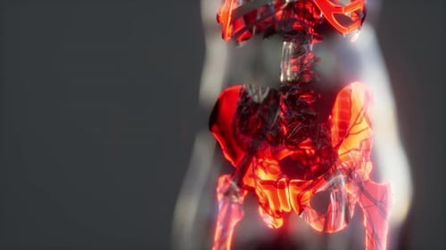 Futuristic 3D Scan of Human Skeleton with Glowing Bones