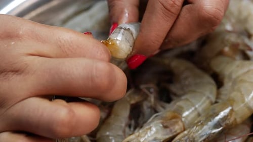A close-up photo of hands holding a shrimp and a woman holding a piece of shrimp in a plastic bag