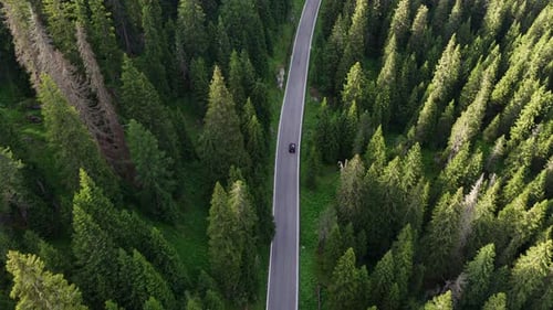 Scenic Drive Through Lush Forest Landscapes on Winding Road