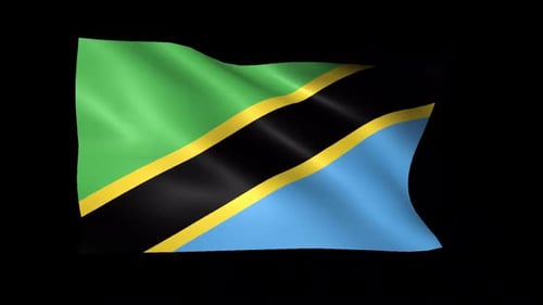 Realistic Waving Tanzania National Flag Animation Loop