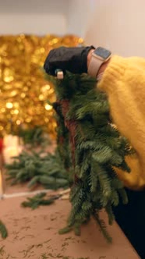 Women Arranging Small Evergreen Christmas Tree