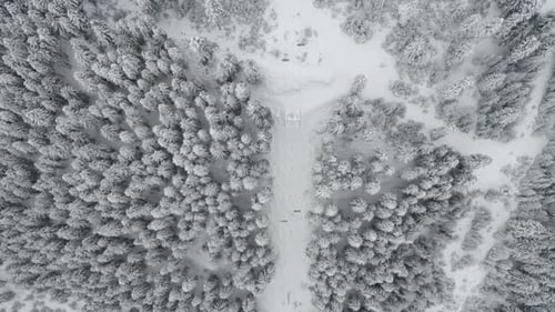 Ski Lift Transporting Skiers Over The Snowy Mountain With Trees In Mestia, Svaneti, Georgia - Aerial