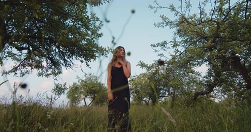 Female blonde model in black long dress stands on a meadow in apple garden
