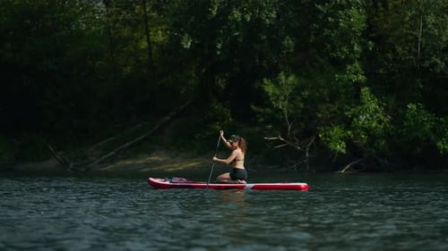 Alone Woman Floating On Stand Up Paddle Board In River In Summertime Paddle Board Fitness