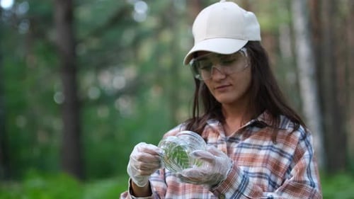 In a Wooded Area an Ecologist Takes Plant Samples and Places Them in a Container for Research in the