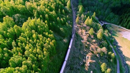 Aerial top down shot of train driving on rural rail near forest during sunny day
