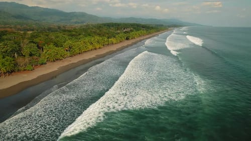 Endless sandy coastline with palm forest and turquoise ocean waves from above