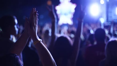 Crowd Cheers at Concert Under Flashing Lights