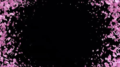 Romantic Pink Petals Transition Overlay