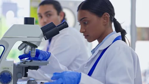 Scientists Working with Microscopes in Bright Lab