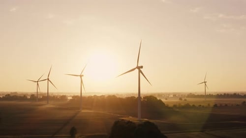Wind Farm or Wind Farm with Tall Wind Turbines for Generating Electricity