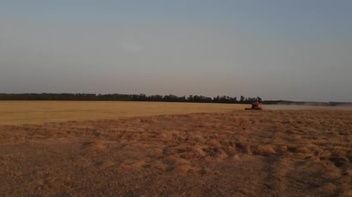 Moissonneuse-batteuse rouge récoltant du blé au coucher du soleil dans le centre de l'Ukraine