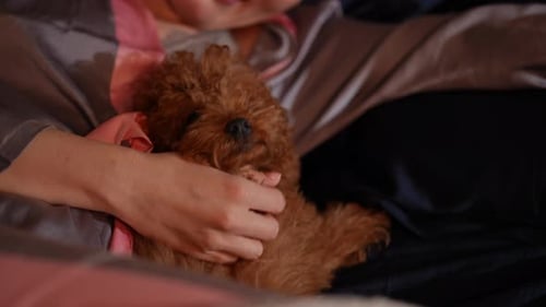 Woman Petted Cute Dog on a Bed