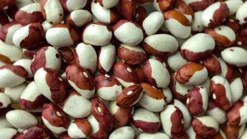 Close Up Piled Red and White Beans