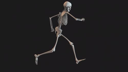 Skeleton Energetic Run Loop 01