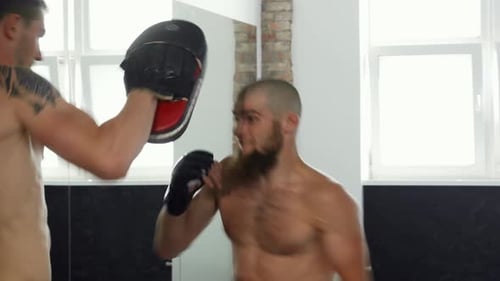 Intense MMA Fighters Training Together in a Dynamic Sports Club