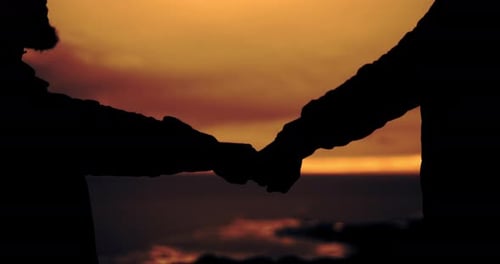 Silhouetted Couple Holds Hands at Sunset