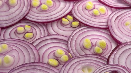Sliced red onion rotates as background for cooking show, restaurant or food video. Sliced shallot