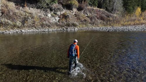 Fly Angler Wading Across Clear River, Cinematic Drone Orbit Over Trout Stream. The camera circles