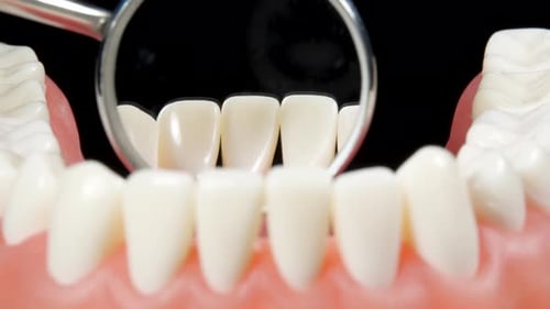 Patient at a Dentist Appointment in a Dental Clinic. View from Inside the Dental Jaw. Tooth Model