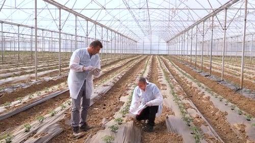 Agricultural Engineers Examines Saplings