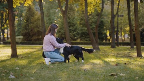Woman Owner Lovingly Hugs Dog Walking in Sunny Park