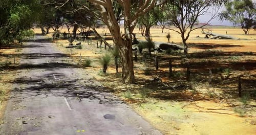 Road Lined with Trees and Fallen Branches in a Rural Area During Daytime