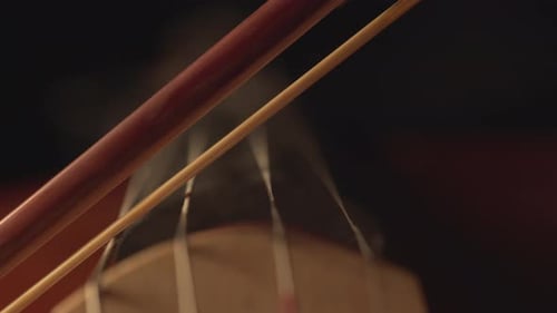 macro close up of cello, cello bow , cello playing and strings