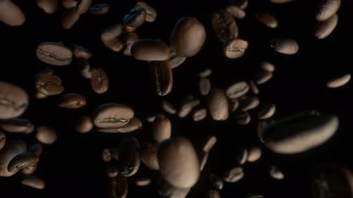 Roasted Coffee Beans Floating on a Black Background