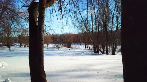 Hiver, Nature, février 2022 22