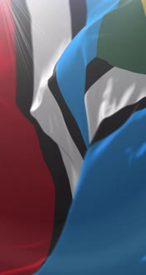 Vertical Sint Maarten National Flag Waving Animation