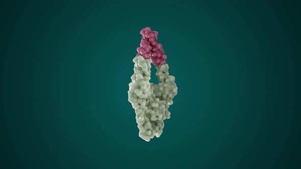 Basic Protein Molecule In Continuous Rotation Looped 4K, Elements ...