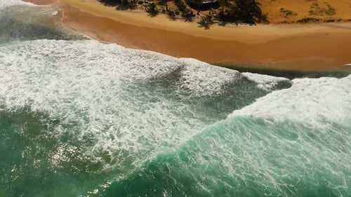 Top View of Beautiful Sandy Beach with Palm Trees