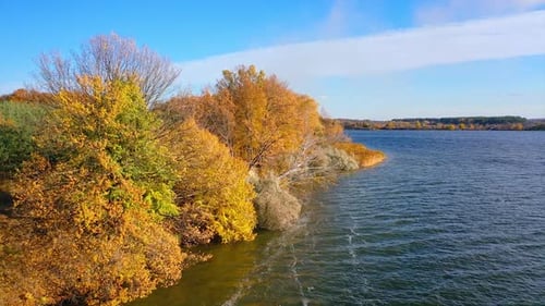 Aerial view of autumn landscape and river. Aerial drone view of large river and forest during autumn