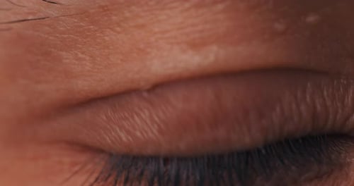 Macro Closeup on Brown Beer Large Male Eye Opening Blinking Eyelid