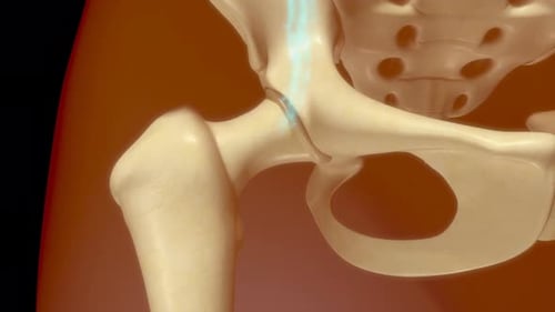 Internal Structure Reveal Animation for Medical Content
