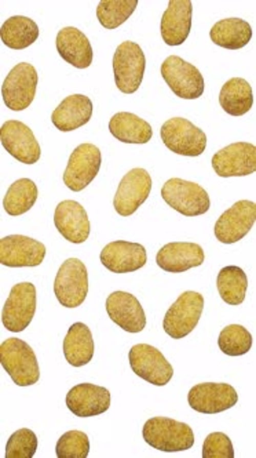 Seamlessly Falling Potatoes Vertical Loop