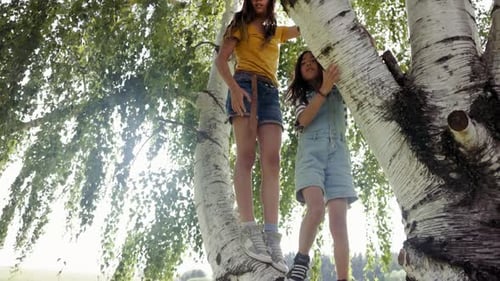 Retrato de hermanas trepando a un árbol juntas durante 10 segundos o más