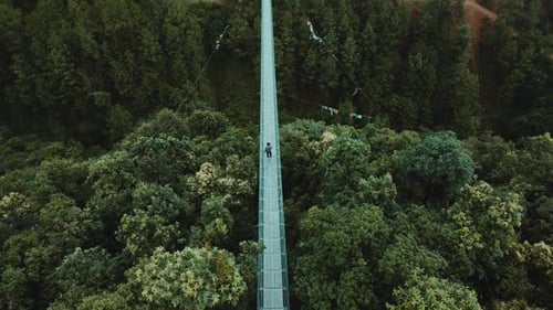 aerial view of Suspension bridge