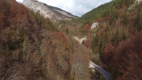 Aerial View of a Autumn Forest Through Which a Winding Road Passes in the Mountains