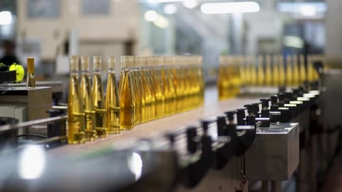 White Wine production process at a wine factor