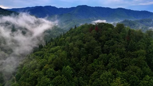 Lush mountains shrouded in morning mist. Green mountains rise under a cloudy sky