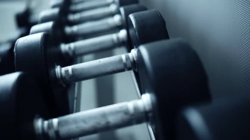 Row Of Dumbbells In Gym