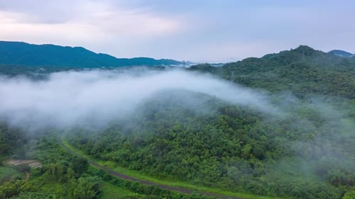 Aerial view morning scenery Mist flowing over the high mountains.