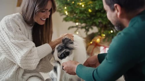 Couple Petting Dog Next to Christmas Tree