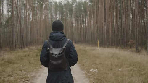 Slow Motion follow shot of a young and fashionable man walking in the forrest between tall trees.