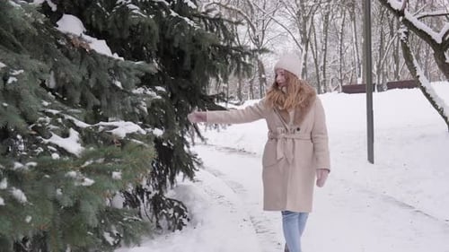 A Woman Walks Along the Road and Throws Snow From a Branch of a Spruce Tree