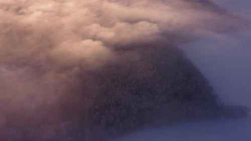 Aerial View of Snowy Forest in Winter Sunrise