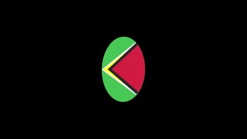 Flag of Guyana 3d icon video
