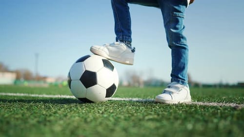 Classic Soccer Ball on the White Marking Line of the Stadium Turf